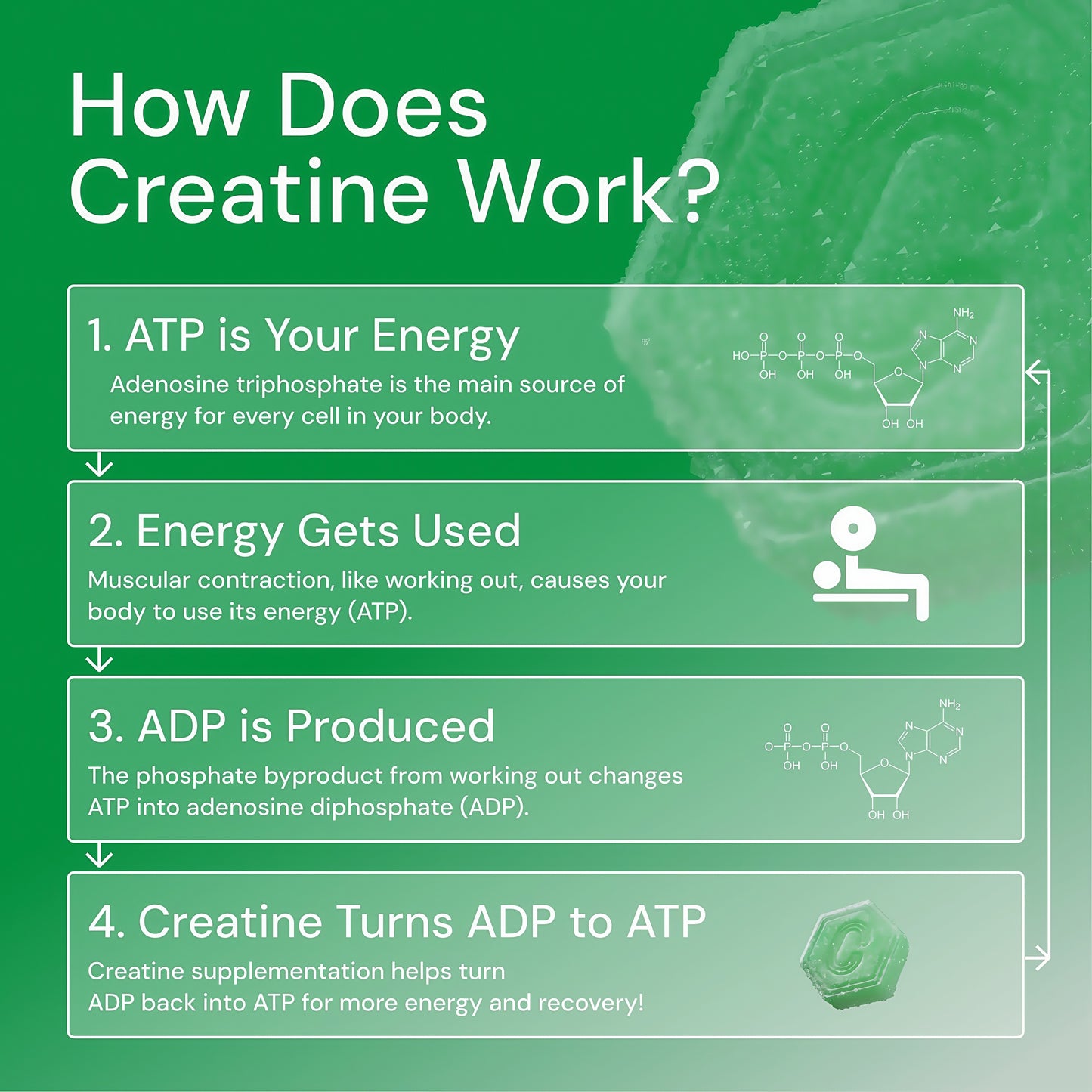 Core Create Creatine Monohydrate Gummies